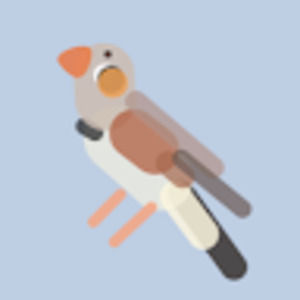 Meet your Posher, Steve